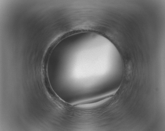 X0000062130680200512231439