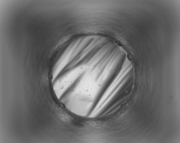 X0000062130681200512231439