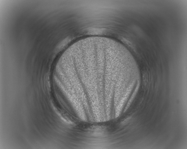 X0000062130682200512231439