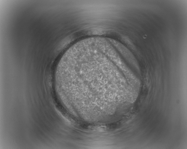 X0000062130683200512231439