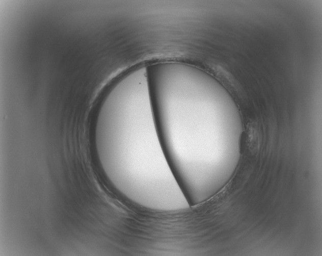 X0000062130684200512231439