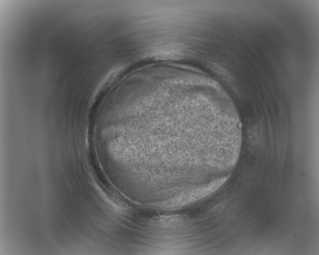 X0000062130686200512231439