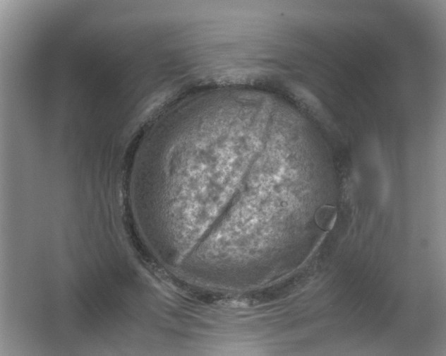 X0000062130687200512231438