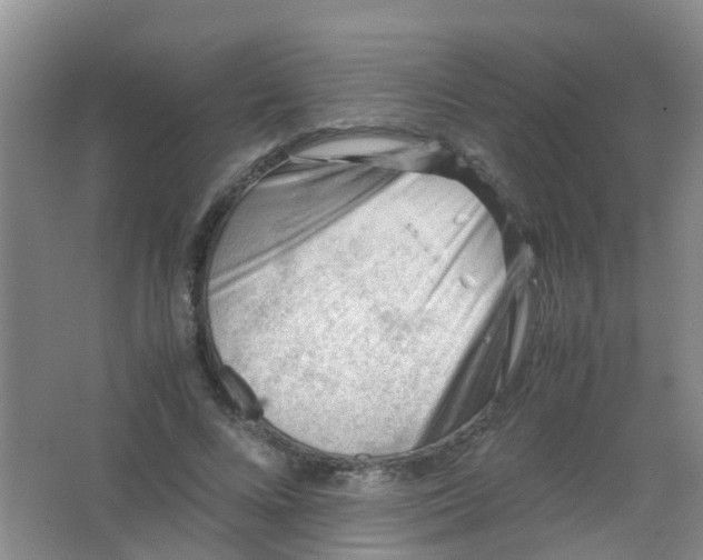 X0000062130688200512231438