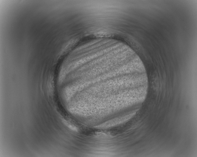 X0000062130690200512231438