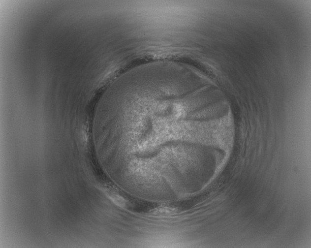 X0000062130691200512231438