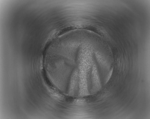 X0000062130694200512231438