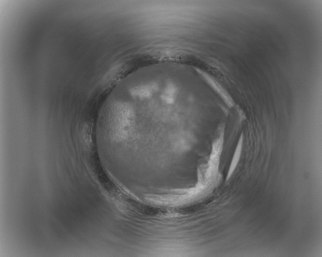 X0000062130695200512231438