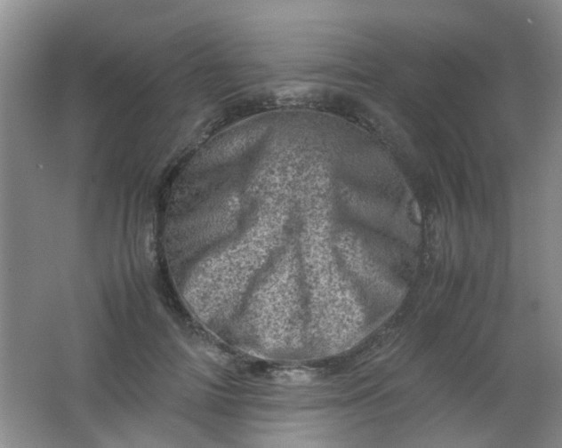 X0000062130698200512231438