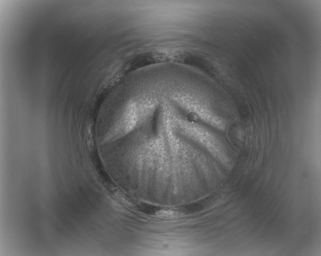 X0000062130699200512231438