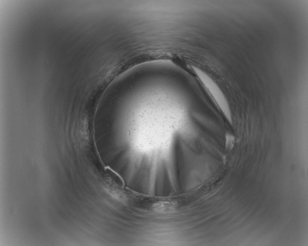 X0000062130700200512231438