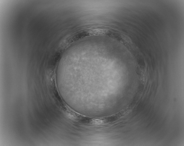 X0000062130701200512231438