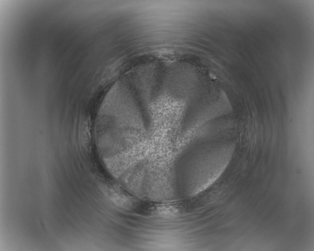 X0000062130702200512231438