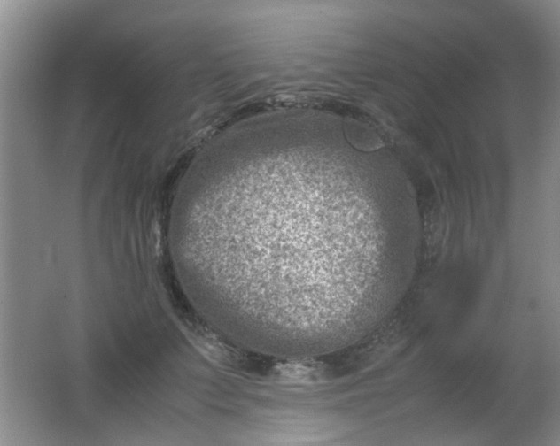 X0000062130703200512231438