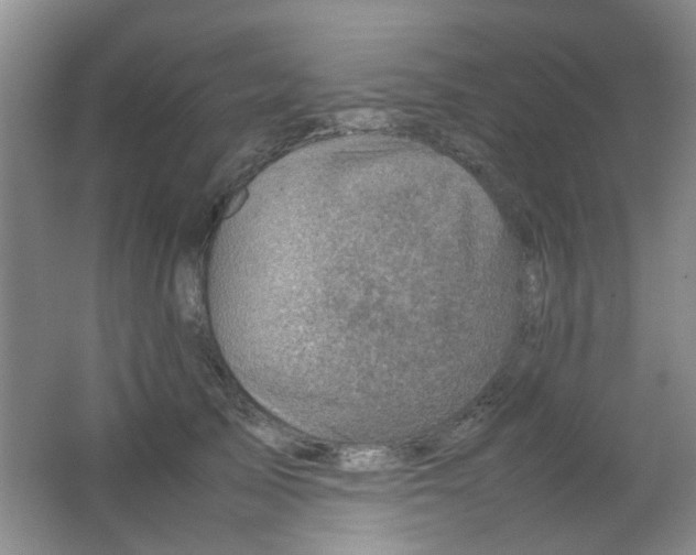 X0000062130705200512231438