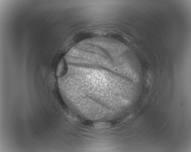 X0000062130707200512231438