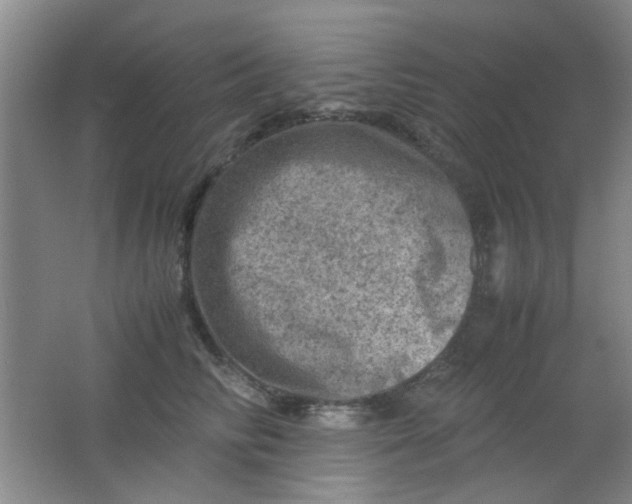 X0000062130710200512231438