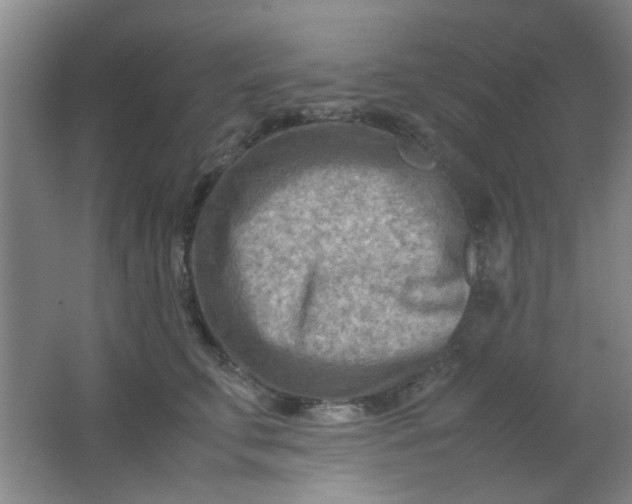 X0000062130711200512231438