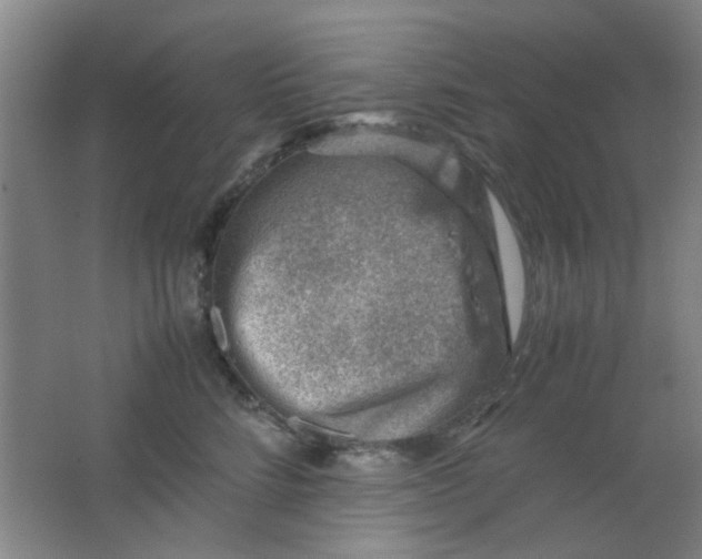 X0000062130712200512231438