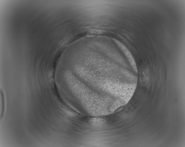 X0000062130714200512231438