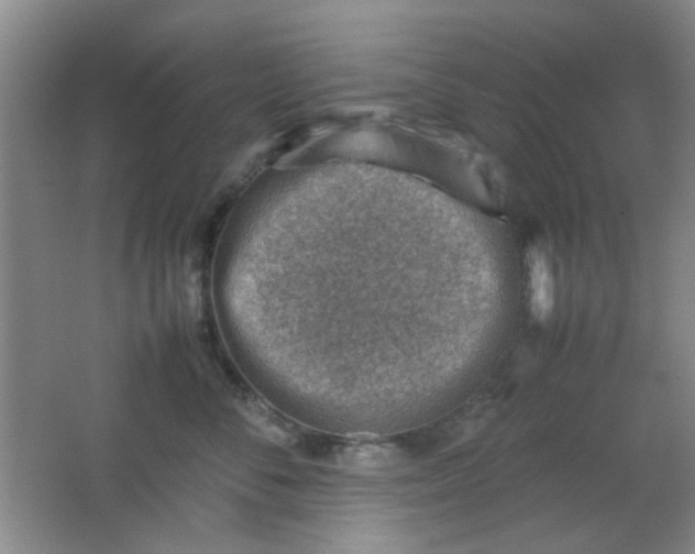 X0000062130716200512231438