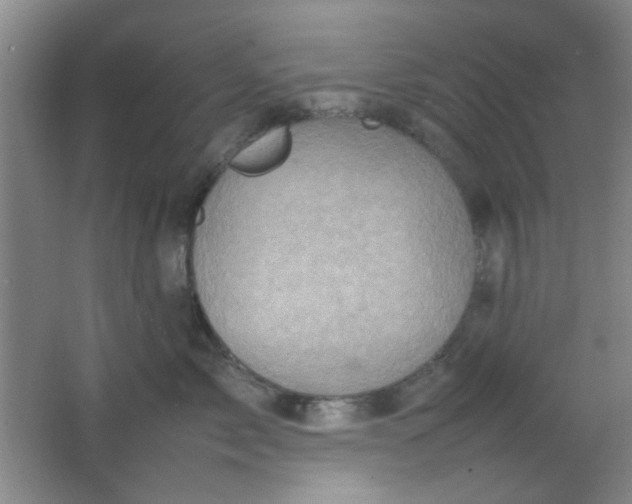 X0000062130717200512231438