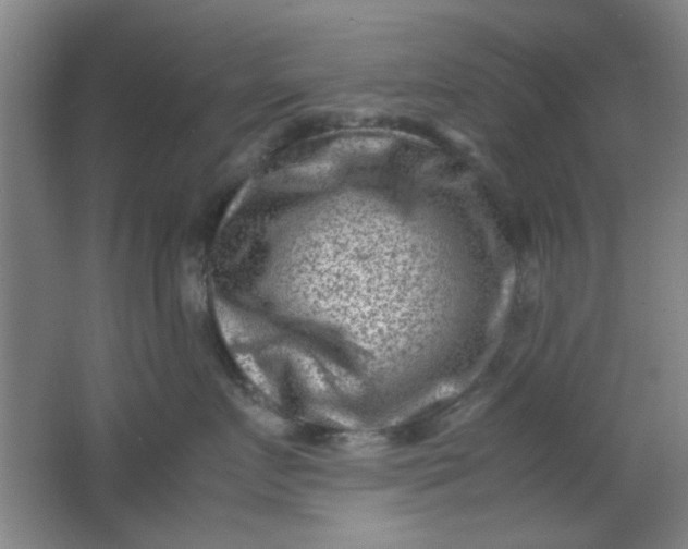 X0000062130719200512231438