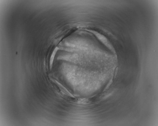 X0000062130720200512231438