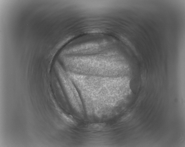 X0000062130721200512231437