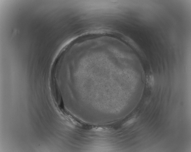 X0000062130724200512231437