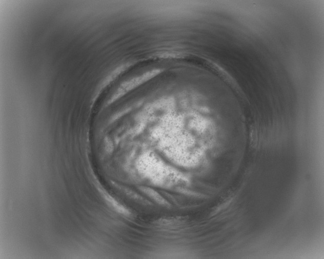 X0000062130725200512231437