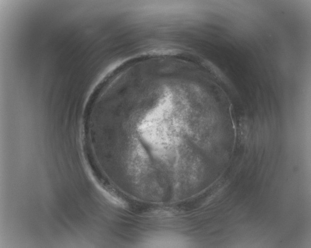 X0000062130726200512231437