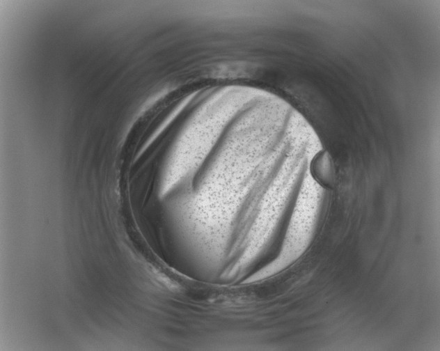 X0000062130727200512231437