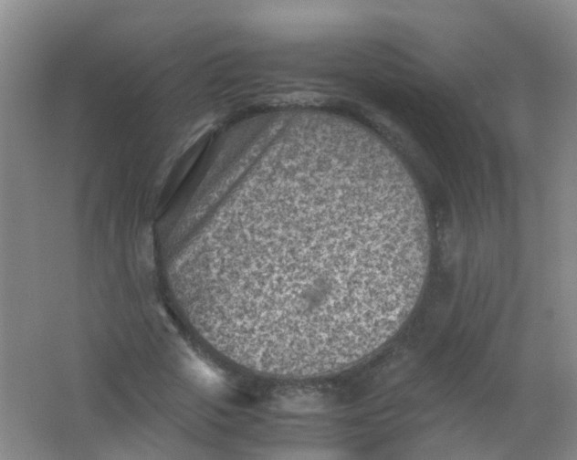 X0000062130729200512231437