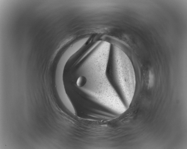 X0000062130731200512231437