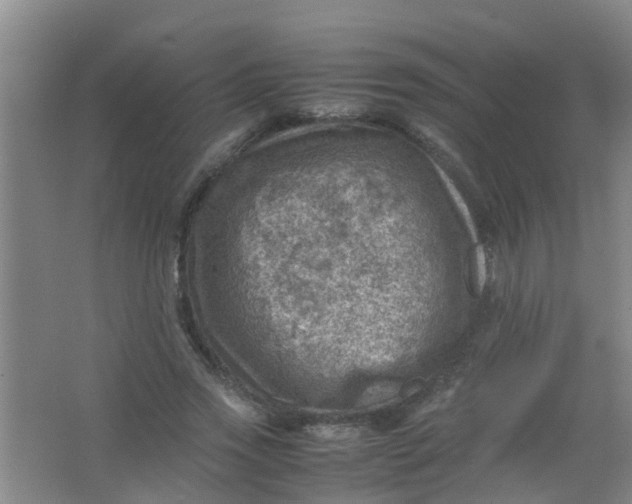 X0000062130733200512231437