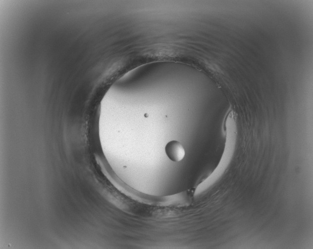 X0000062130735200512231437