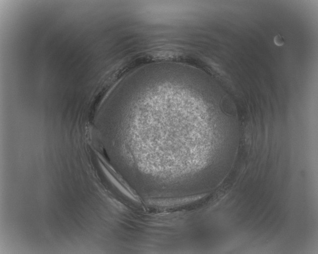 X0000062130737200512231437