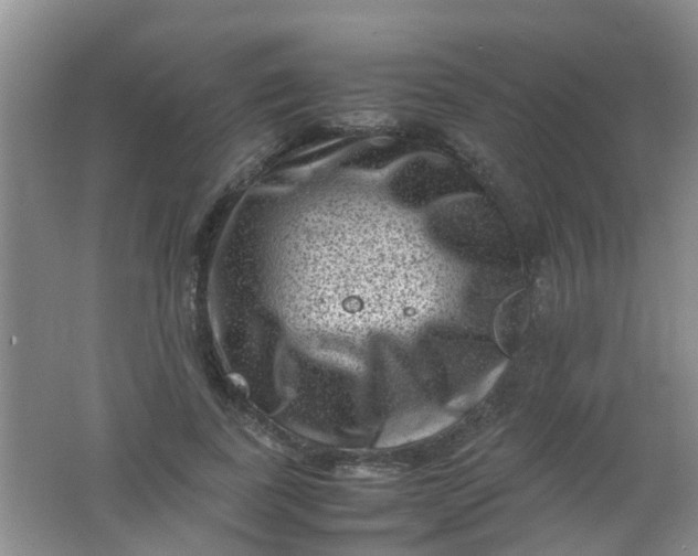 X0000062130739200512231437