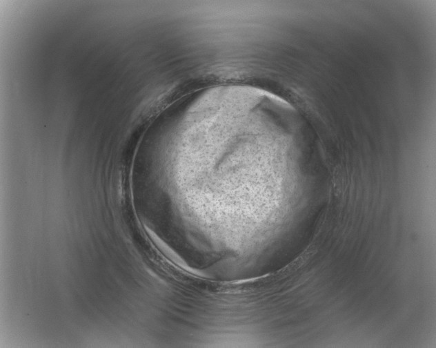 X0000062130740200512231437