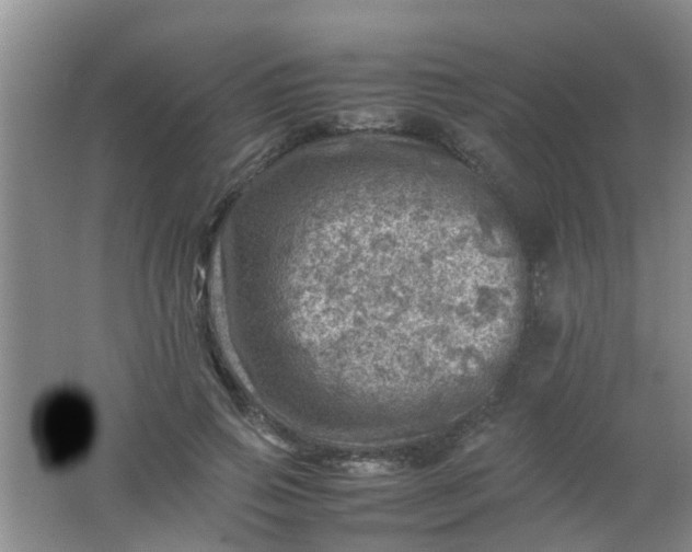 X0000062130741200512231437