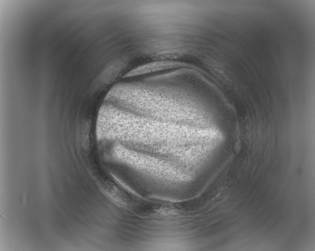 X0000062130742200512231437