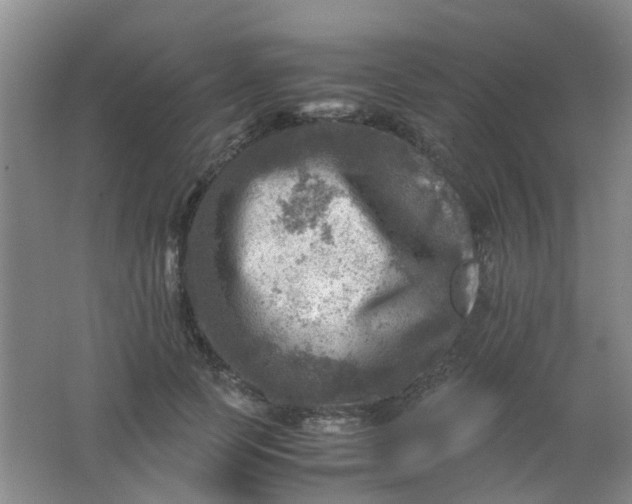 X0000062130745200512231437