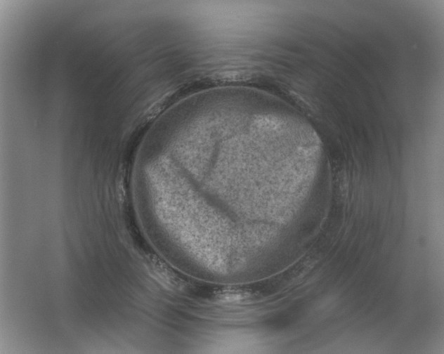 X0000062130746200512231437