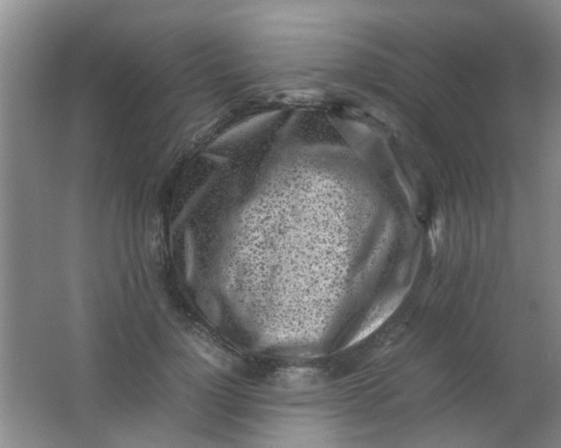 X0000062130748200512231437