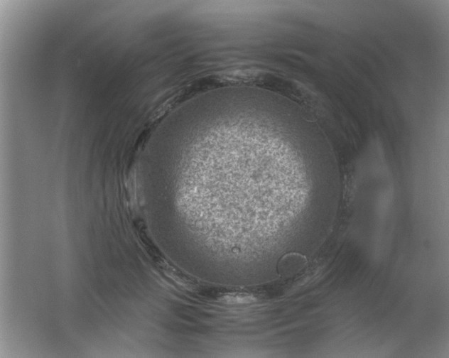 X0000062130749200512231437