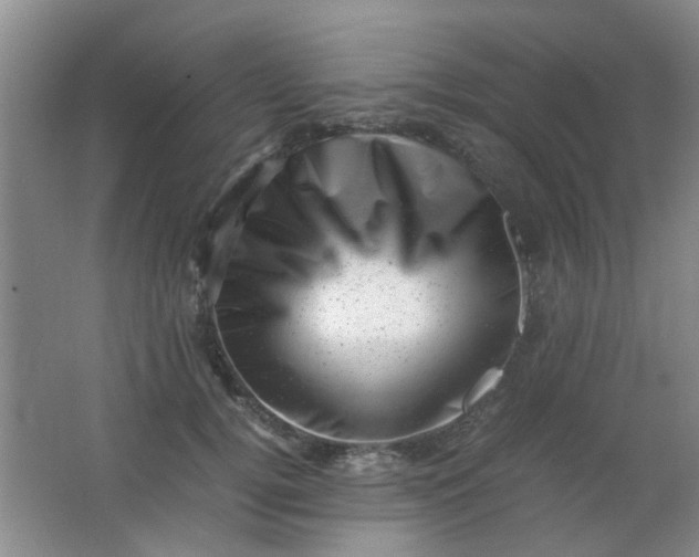 X0000062130752200512231437