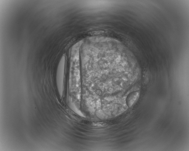 X0000062130753200512231438