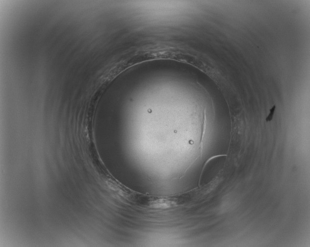 X0000062130754200512231438