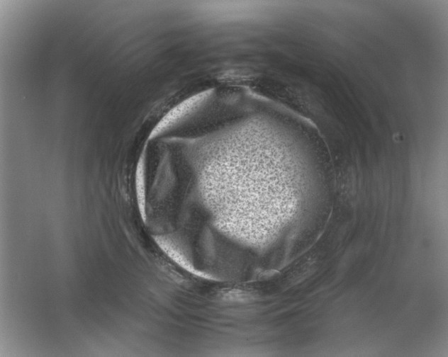 X0000062130755200512231438